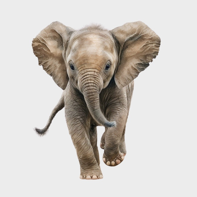 DTF-transfermerke elefant