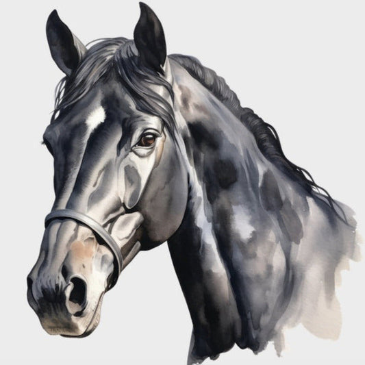 Dtf strykemerker svart hest